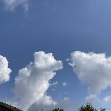 撒浪黑哟于2022-11-23 12:46发布的图片