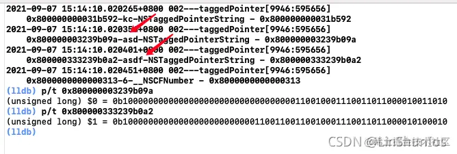Y2s,shadow_50,text_Q1NETiBATGluU2h1bklvcw==,size_20,color_FFFFFF,t_70,g_se,x_16)