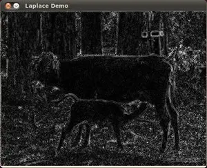 Laplace_Operator_Tutorial_Result.jpg