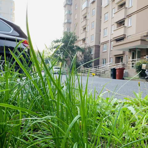 道爷我成了于2023-05-31 21:02发布的图片