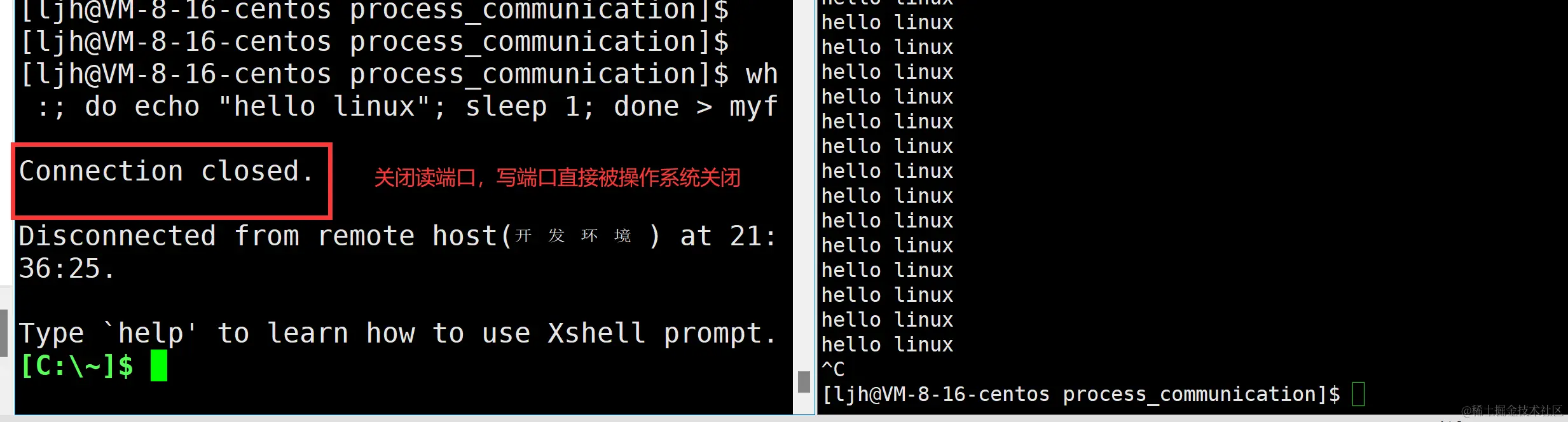 image-20240207213752865