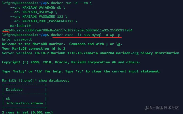 image-20230123203044268