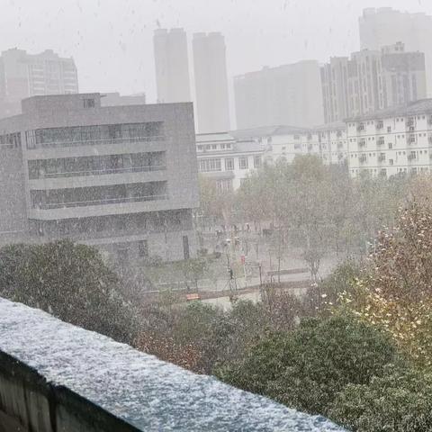 黑了于2022-12-01 10:09发布的图片