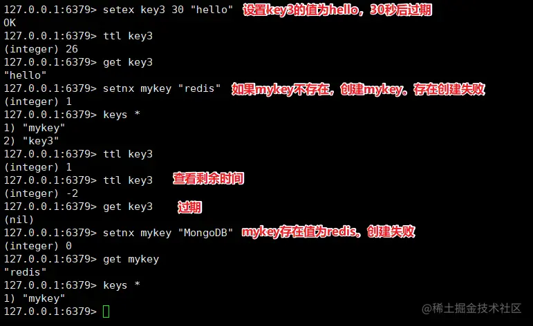 image-20200424152646199