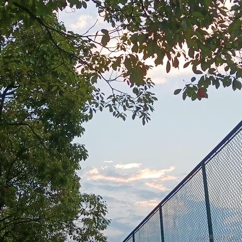 张2公子于2022-07-25 20:28发布的图片