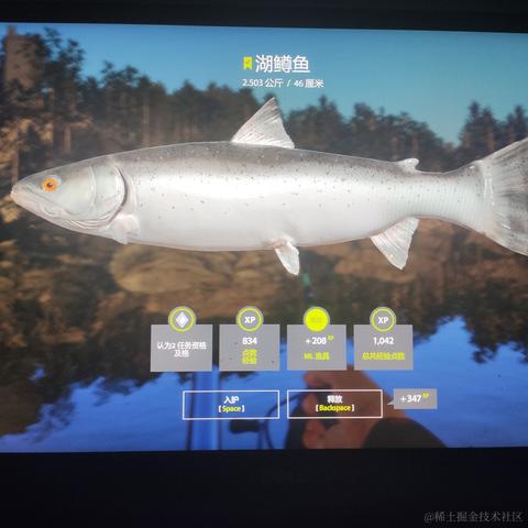 rain2333于2022-11-28 23:02发布的图片