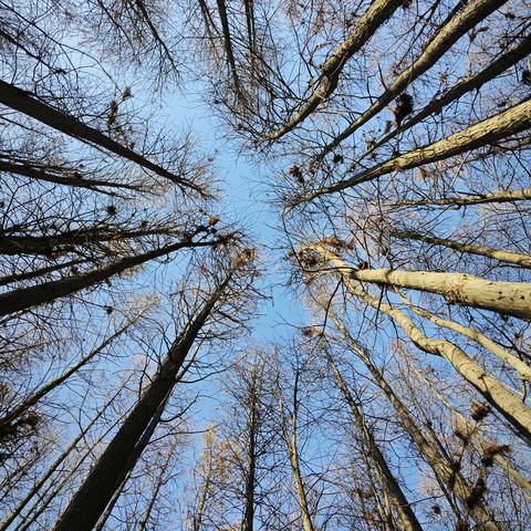 kan5212于2022-12-20 21:14发布的图片