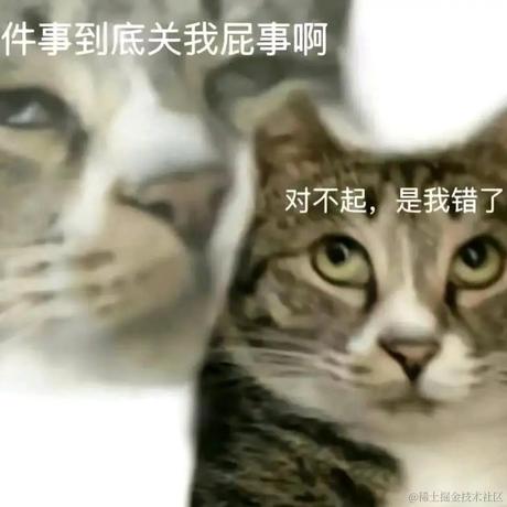 sseleman于2022-11-28 00:28发布的图片