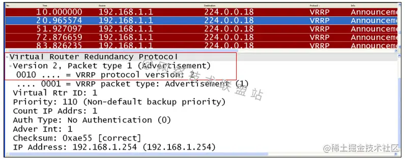 VRRP抓包——版本信息