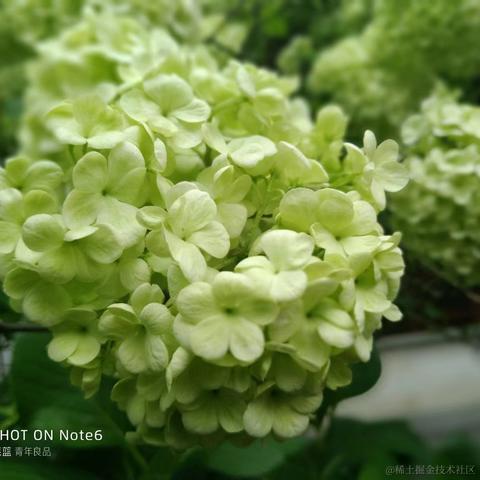 _鱼_于2022-01-20 15:39发布的图片