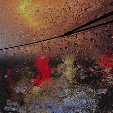 红毛丹于2022-03-31 00:35发布的图片