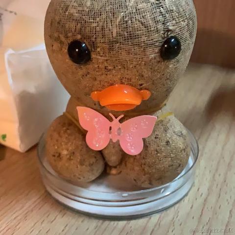 用户1253133568484于2023-04-13 22:32发布的图片