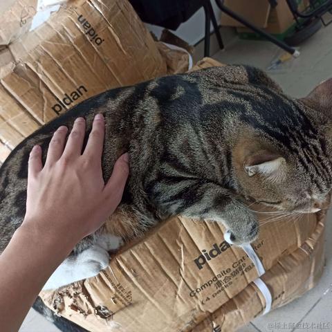 秋风又红香山梯于2021-10-29 11:19发布的图片