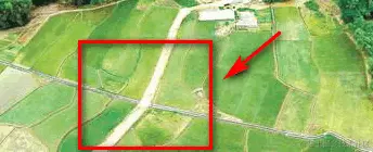 分隔明显的田地