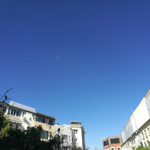 萌哒哒的奇葩羞答答的来于2022-11-17 16:48发布的图片