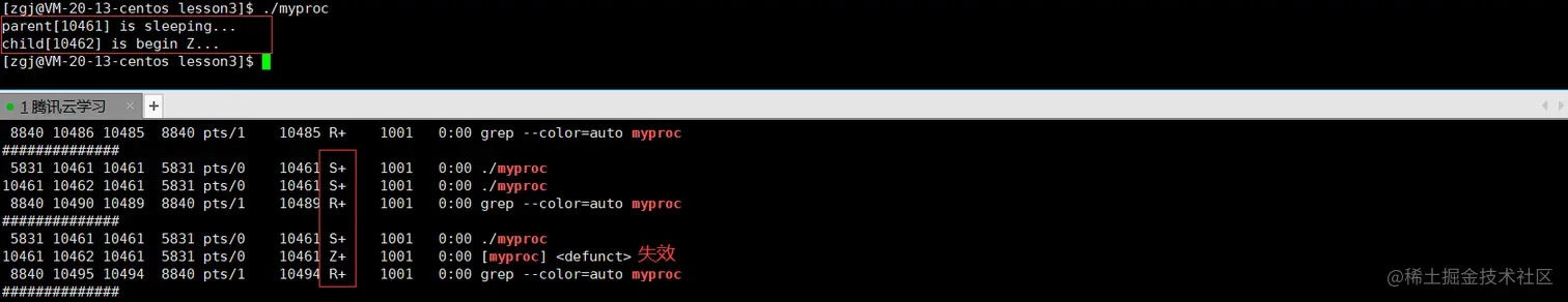 image-20220219233154023
