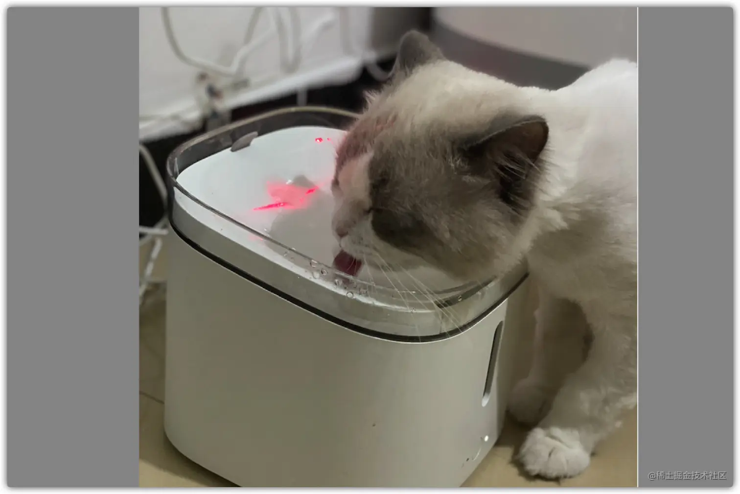 image-20210815173324063