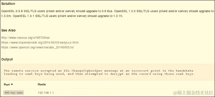 运行漏洞扫描器