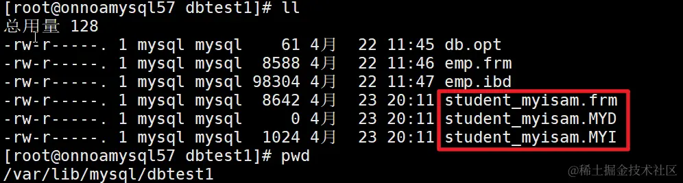 image-20240423201954552