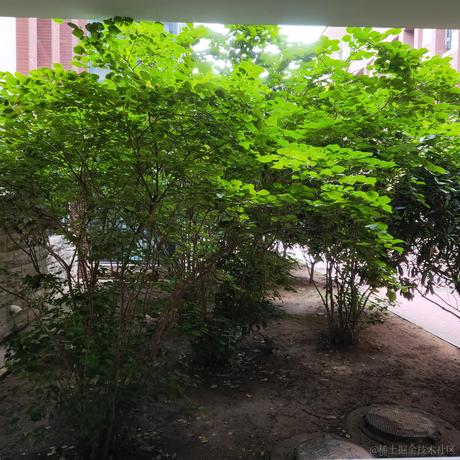 枝江小区第一寒冰于2023-07-06 11:29发布的图片