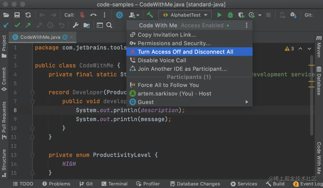 IntelliJ IDEA居然支持音视频聊天了