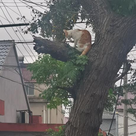 空城旧梦辞旧人于2022-11-13 09:29发布的图片