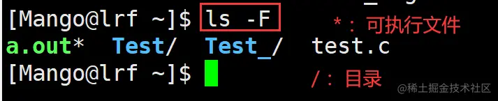 image-20220224204124667