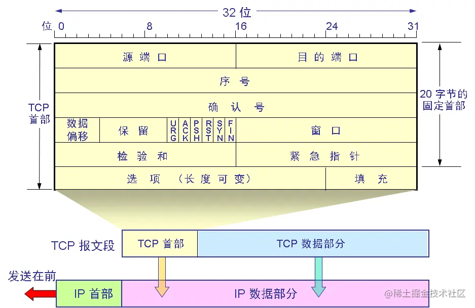 TCP 报文段结构