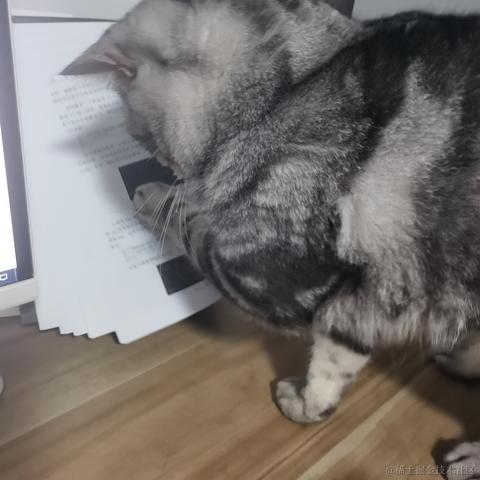 东方小月于2022-06-23 22:32发布的图片