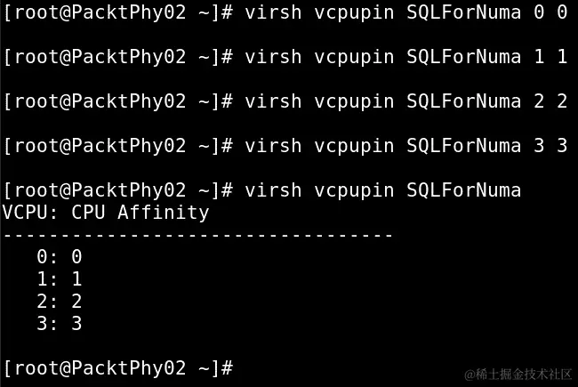 图 15.5 – 配置 CPU 固定