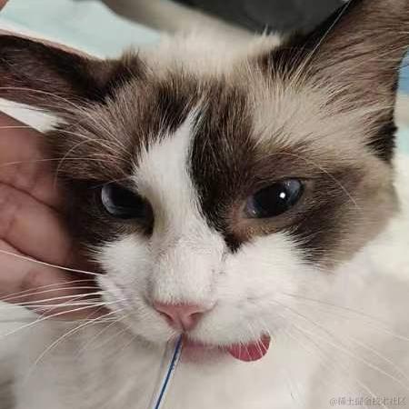 陈一月的编程岁月于2023-08-14 09:11发布的图片