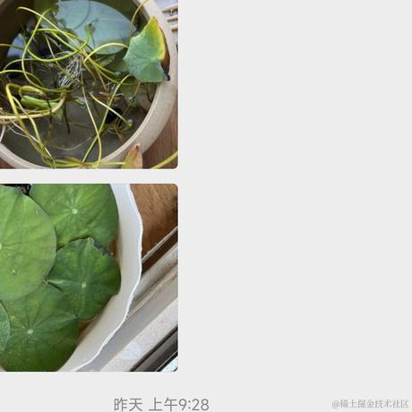 Ann于2023-06-17 10:03发布的图片