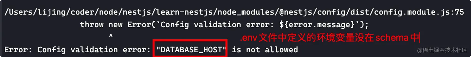 image-20221215214121987