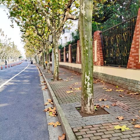 祈澈菇凉于2020-12-01 11:49发布的图片