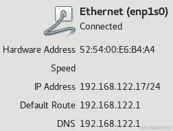 图 1.45 - RHEL8 安装 - 网络和主机名配置信息详情
