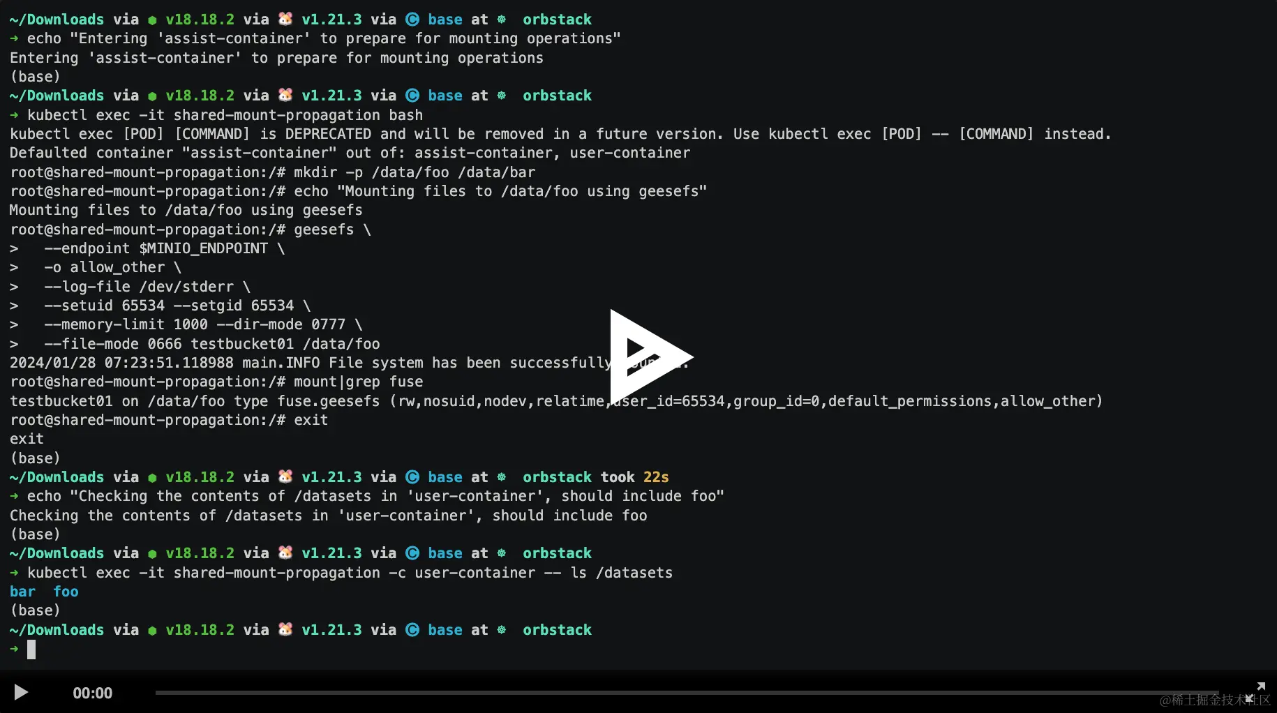 详细信息，请访问：https://asciinema.org/a/633916