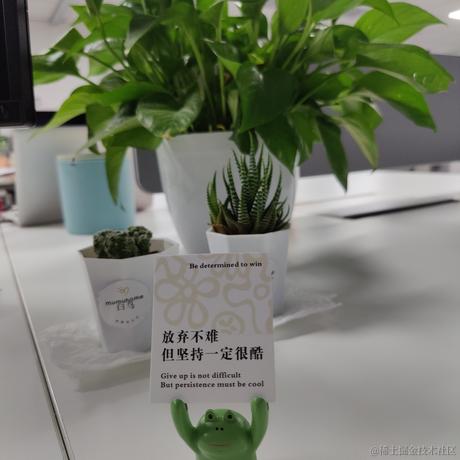 吃鱼徐于2023-05-26 17:18发布的图片