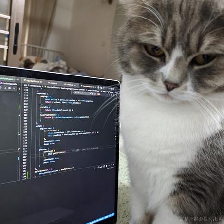 翻肚皮的猫于2023-03-26 23:04发布的图片