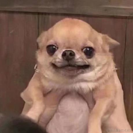 有一只猪于2022-06-09 20:34发布的图片