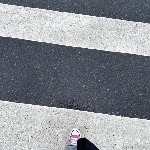 面包泡牛奶于2023-06-25 08:54发布的图片