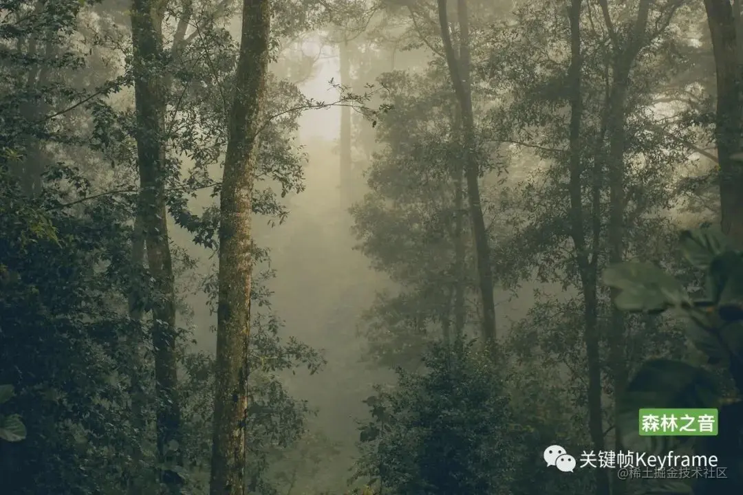 危地马拉·圣卡塔琳娜皮努拉