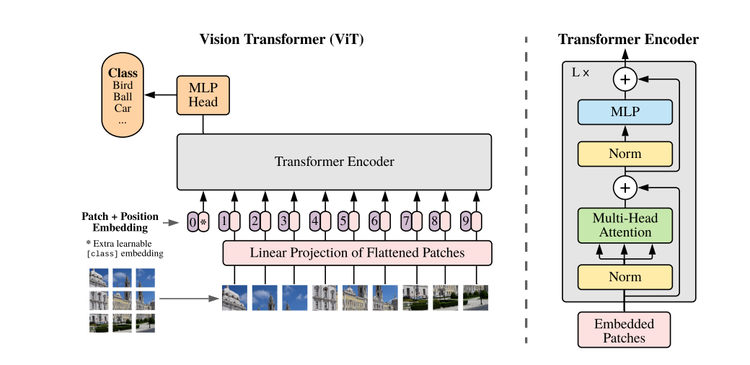 圖1 視覺注意力模型（ViT）將用於自然語言處理任務的 Transformer 應用於視覺任務（來源：ViT [4]）