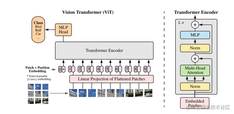 图1 视觉注意力模型（ViT）将用于自然语言处理任务的 Transformer 应用于视觉任务（来源：ViT [4]）