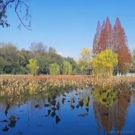 露宝一夜暴富于2022-12-06 11:08发布的图片