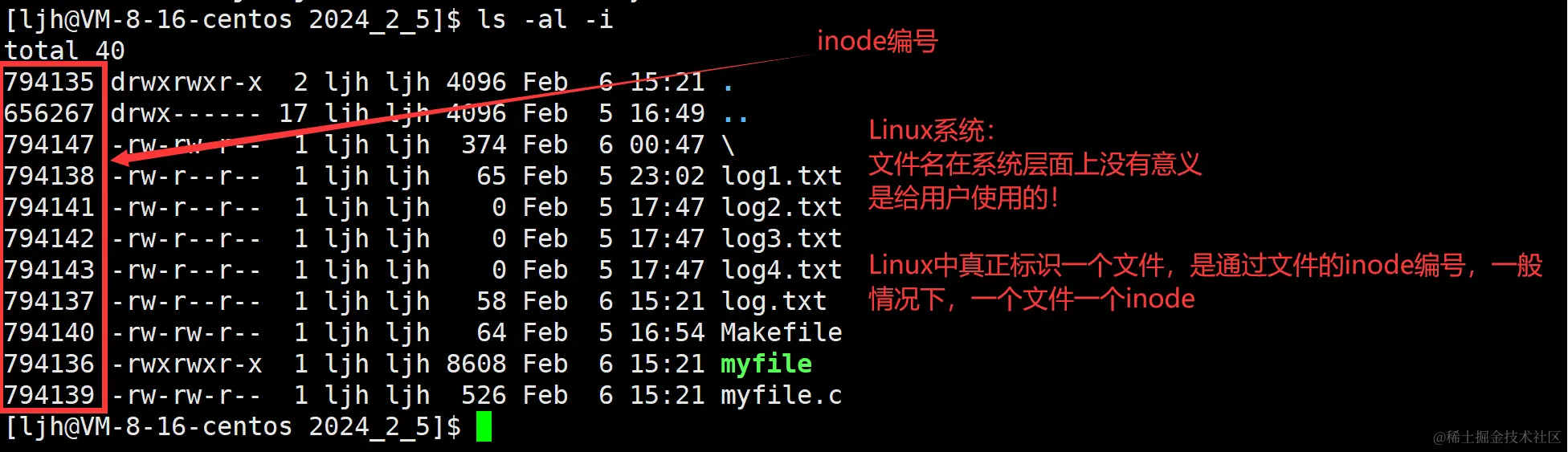 image-20240206161211744