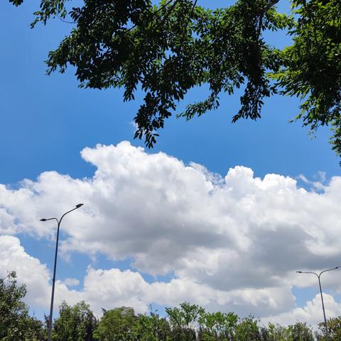 934于2021-05-19 13:29发布的图片