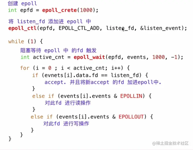 image-20220323202904007