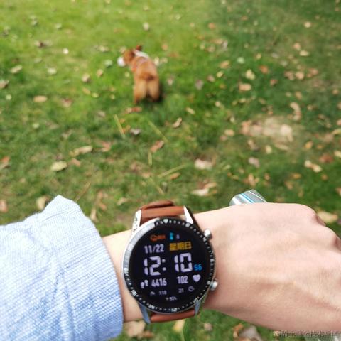 牛肉烧板黎于2020-11-23 08:38发布的图片