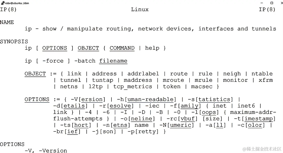 图 2.2 - ip man 页面