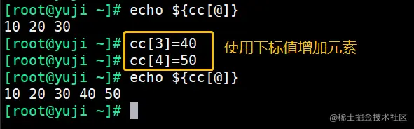 4.4 数组扩写1.png